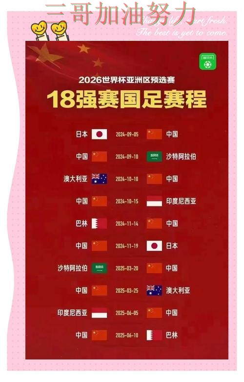世界杯买球网站怎么选靠谱吗?深度解析结果来了(2026世界杯) 世界杯买球网站怎么选靠谱吗?深度解析结果来了(2026世界杯)