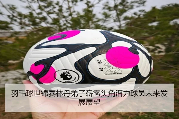 羽毛球世锦赛林丹弟子崭露头角潜力球员未来发展展望
